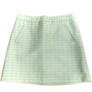 The Limited Mini Skirt